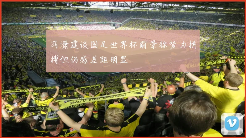 冯潇霆谈国足世界杯前景称努力拼搏但仍感差距明显